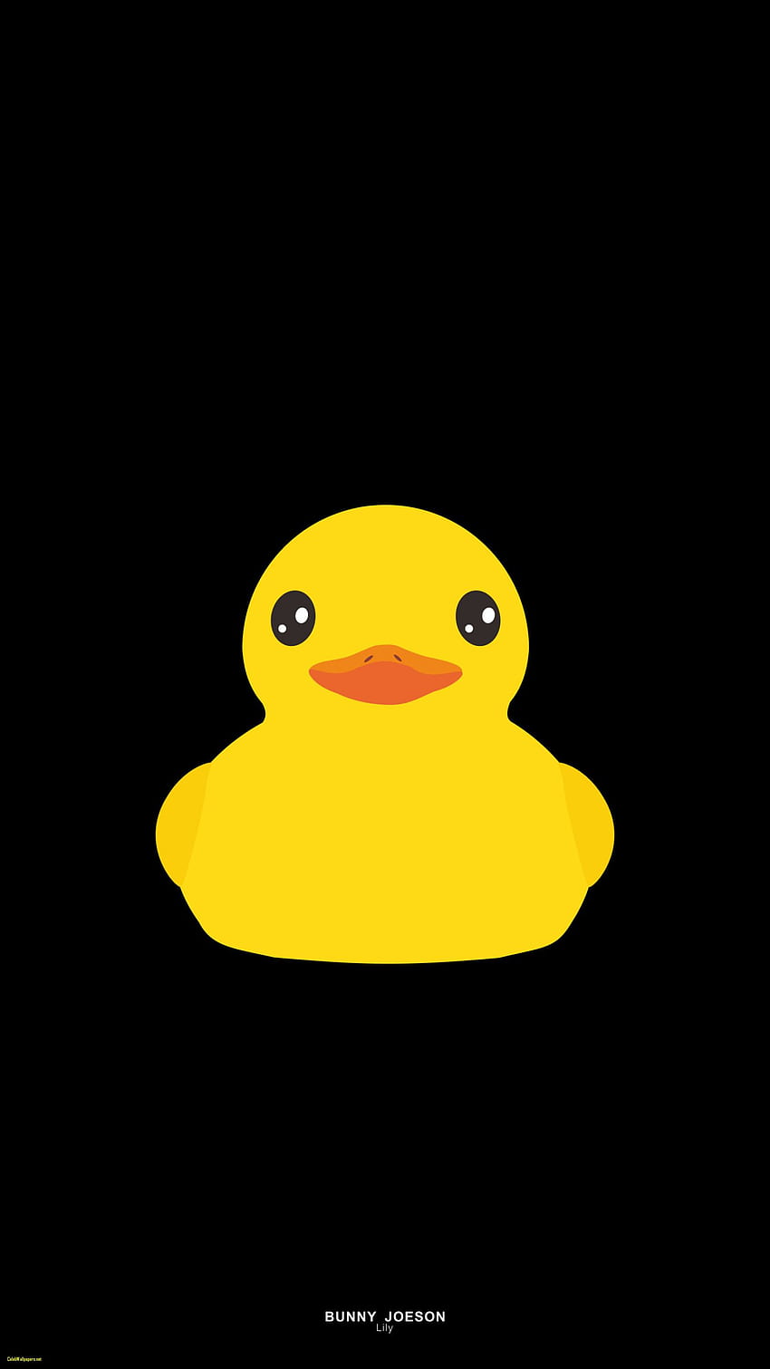 Duckling HD phone wallpaper