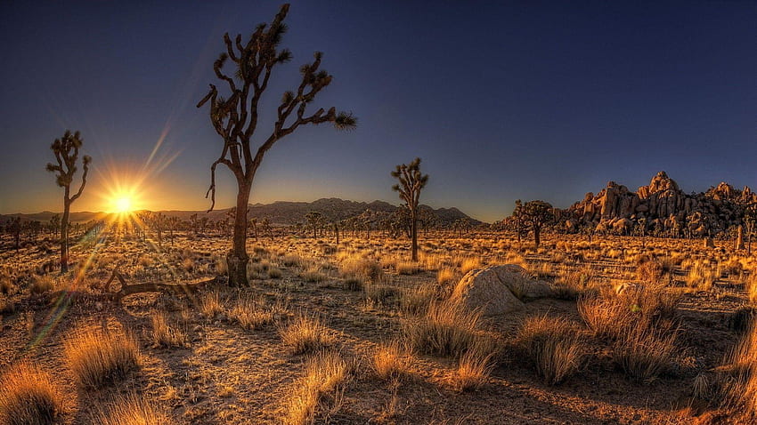 Nevada Desert Landscape - พื้นหลังทะเลทรายเนวาดาบนค้างคาวทะเลทรายลาสเวกัส วอลล์เปเปอร์ HD