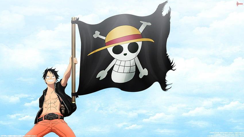 Straw Hat Pirate Flag, Straw Hat Logo HD wallpaper