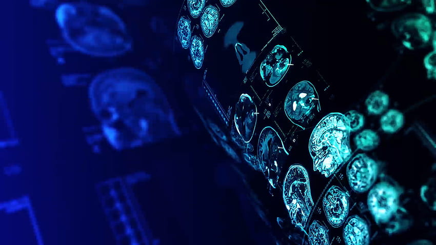 Welcome To Neuropedia - Neuroscience HD wallpaper