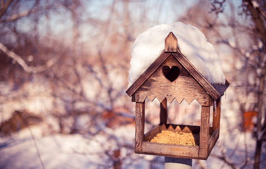 winter, snow, trees, branches, nature, grain, birdhouse for , section природа HD wallpaper
