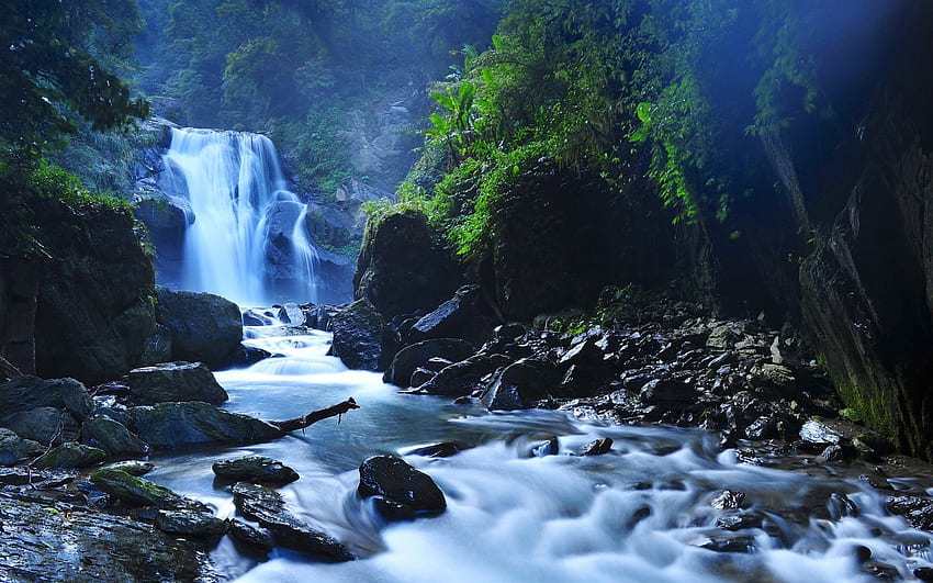 Beautiful Taiwan Forest Waterfalls Mac HD wallpaper