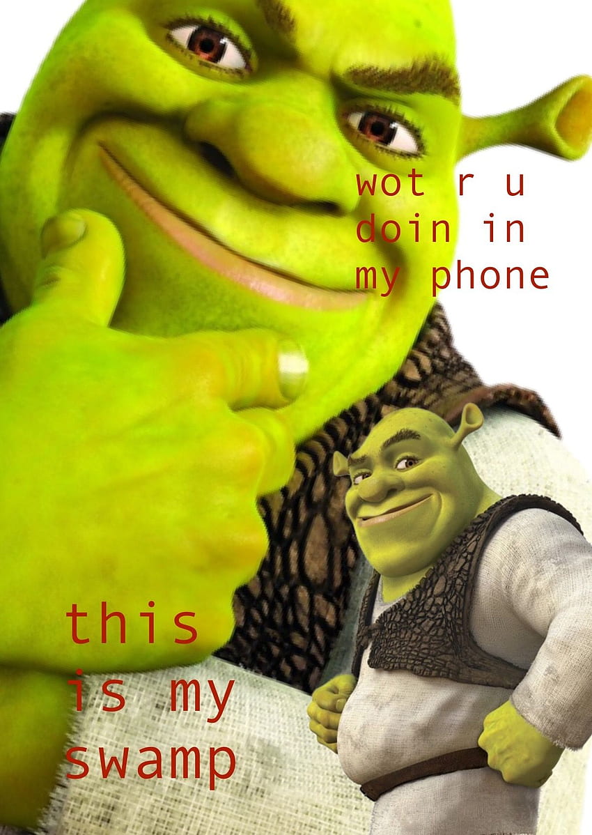 homemade shrek lockscreen to keep ppl out of ur swamp. Shrek, Funny , Shrek memes, Shrek Phone HD phone wallpaper