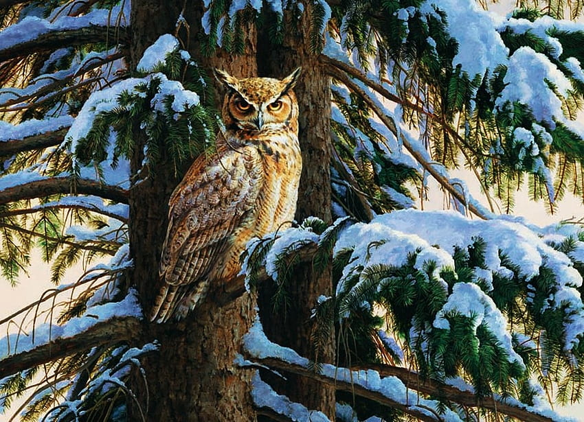 owl, winter, owls, wood, animals HD wallpaper