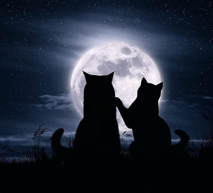 Cats On The Moon , Black Cat Moon HD wallpaper