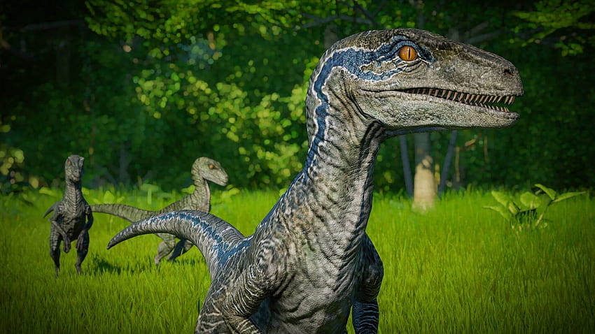 Velociraptor, Parque Jurássico Velociraptor papel de parede HD