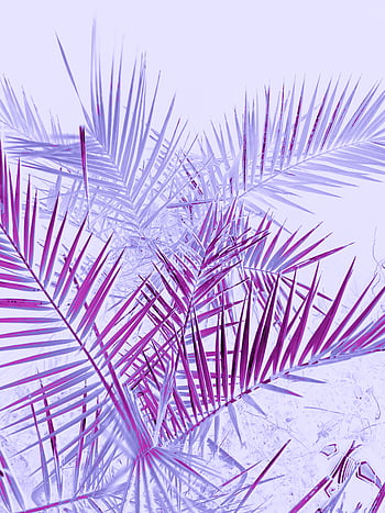 Lavender Background là một chủ đề hoàn hảo cho những người yêu thích sắc tím nhạt. Với những đường nét mềm mại và tinh tế, hình nền Lavender Background sẽ mang lại cho bạn cảm giác thư thái và dễ chịu khi sử dụng.