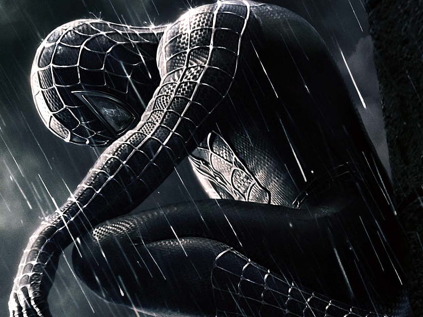 Spiderman, web, movie, marvel HD wallpaper