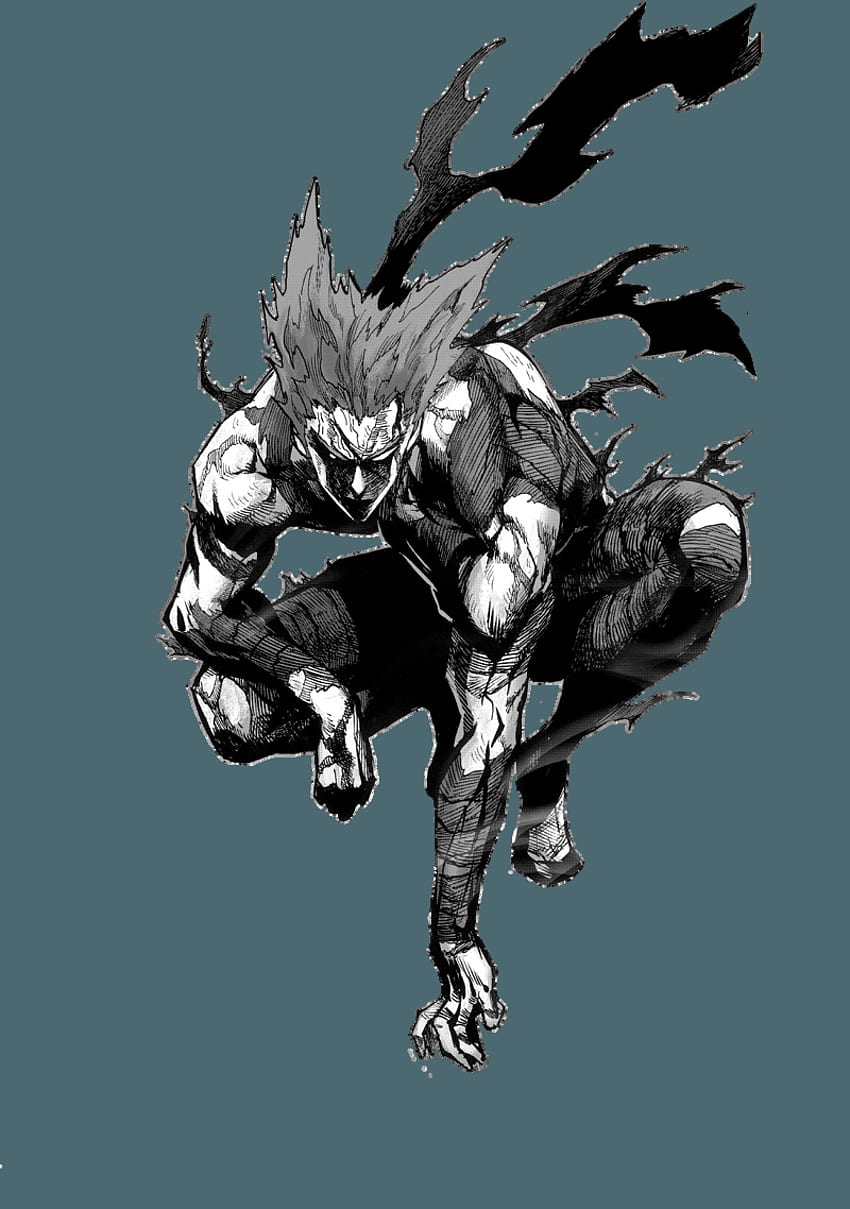 Garou One Punch Man Png HD phone wallpaper