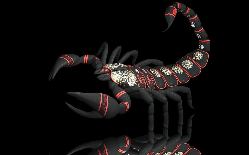 Scorpion, Black Scorpion HD wallpaper