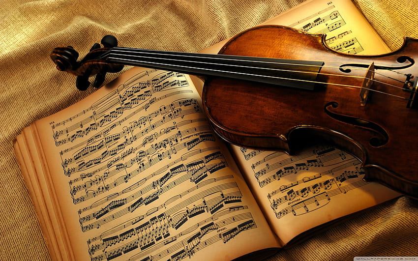 Violin And Notes Ultra Background for U TV : Tablet : Smartphone, Fiddle HD wallpaper