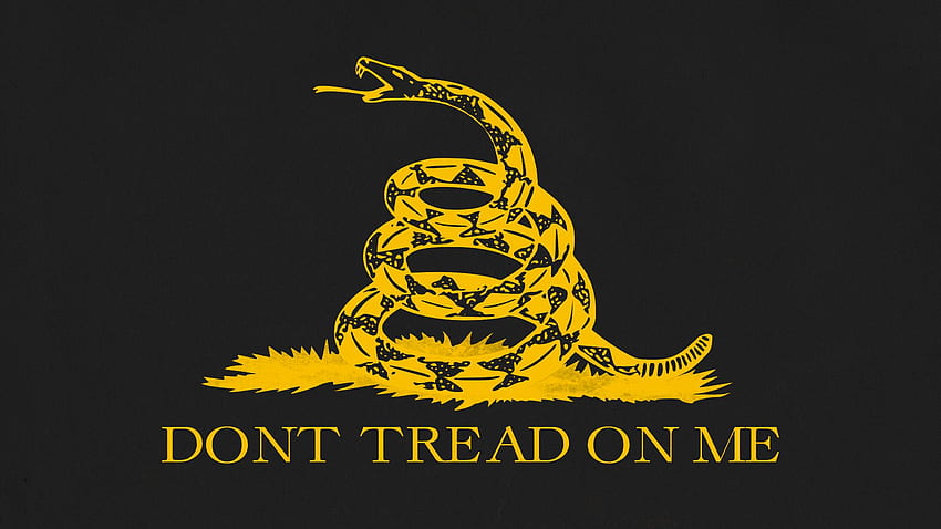 The REAL Gadsden Flag Dont Tread On Me Flag HD phone wallpaper  Pxfuel