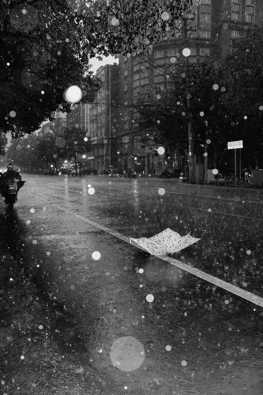 Städte, Regen, Nässe, Asphalt, Bw, Chb, Regenschirm, Straße HD-Handy-Hintergrundbild