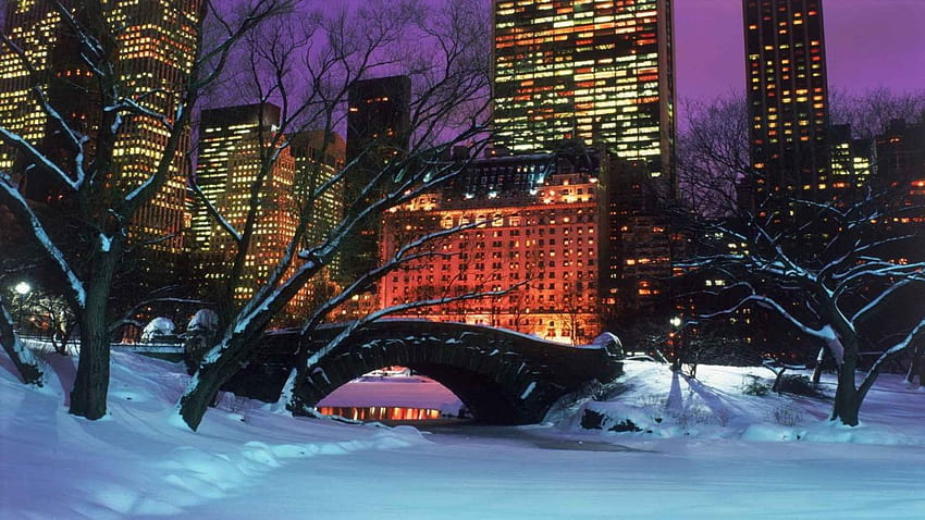 Parque Central de la ciudad de Nueva York de invierno. . 216694. ARRIBA fondo de pantalla