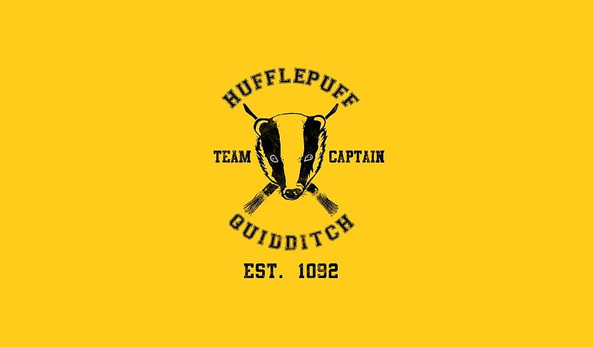 Hufflepuff Quidditch. Harry potter , Hufflepuff HD wallpaper