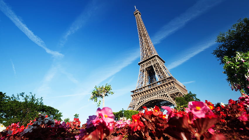 Paris France Eiffel Tower, Pink Paris France HD wallpaper