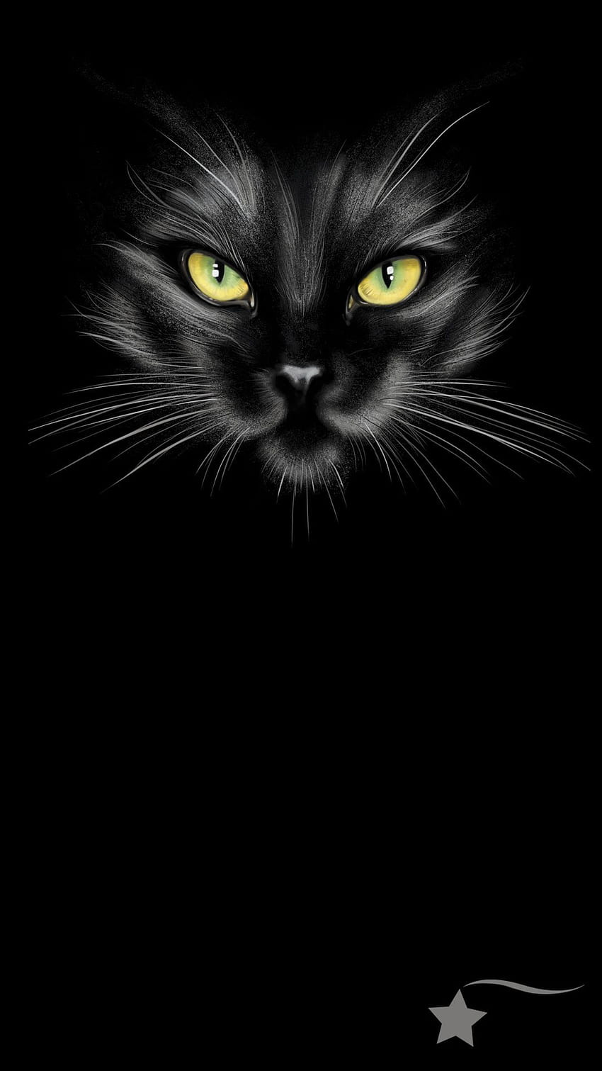 Black Cat Wallpaper  Black Cat Wallpaper Iphone  1080x1920 Wallpaper   teahubio