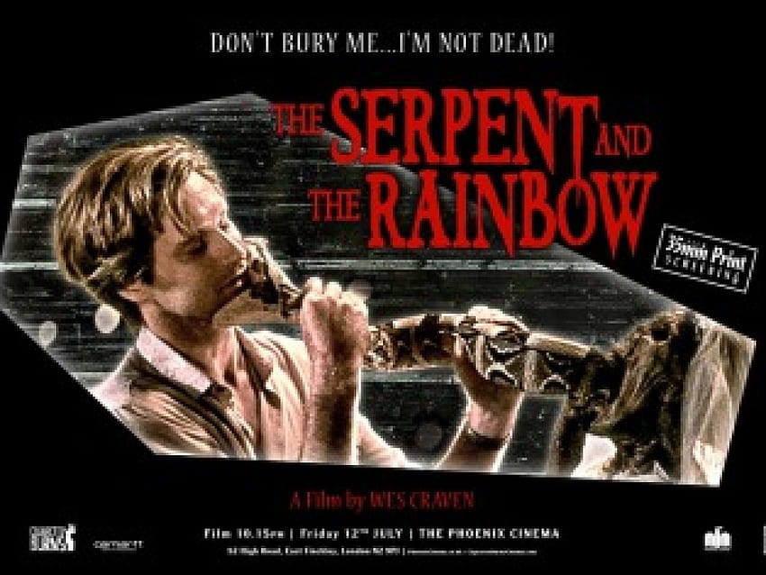 The Serpent And The Rainbow, Wes Craven, Serpent, Horror HD wallpaper