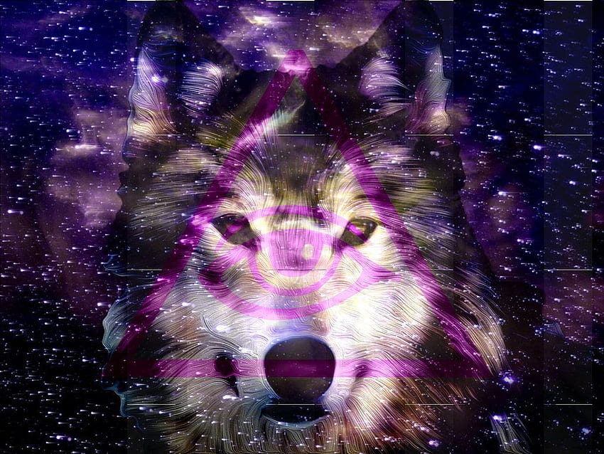 Love wolves HD wallpapers | Pxfuel