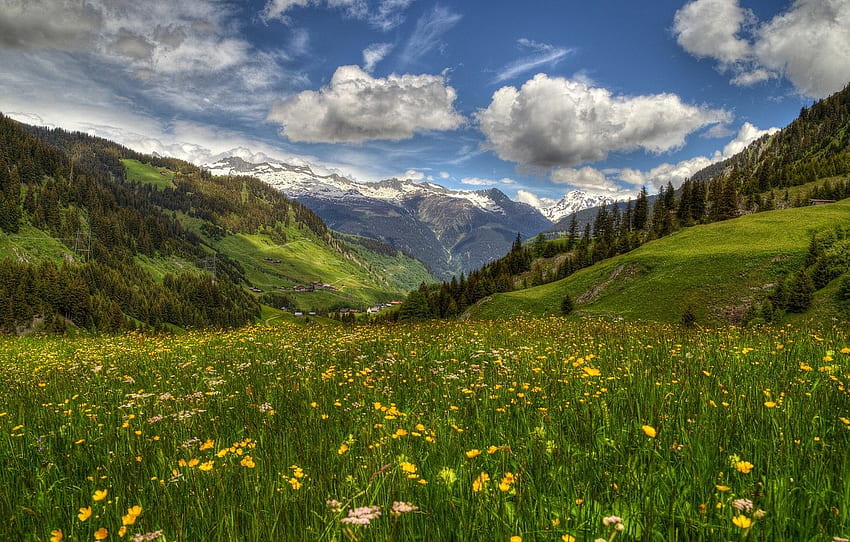 ดอกไม้ ภูเขา ฤดูใบไม้ผลิ สวิตเซอร์แลนด์ หุบเขา เทือกเขาแอลป์ ทุ่งหญ้า สวิตเซอร์แลนด์ เทือกเขาแอลป์ Grisons Grisons หุบเขา Surselva Surselva Valley Oberalp Pass Trun Troon สำหรับ หมวด пейзажи - วอลล์เปเปอร์ HD