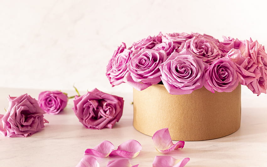 cardboard box with roses, purple roses, paper box, gift with roses, gift box with roses, gift box, roses HD wallpaper