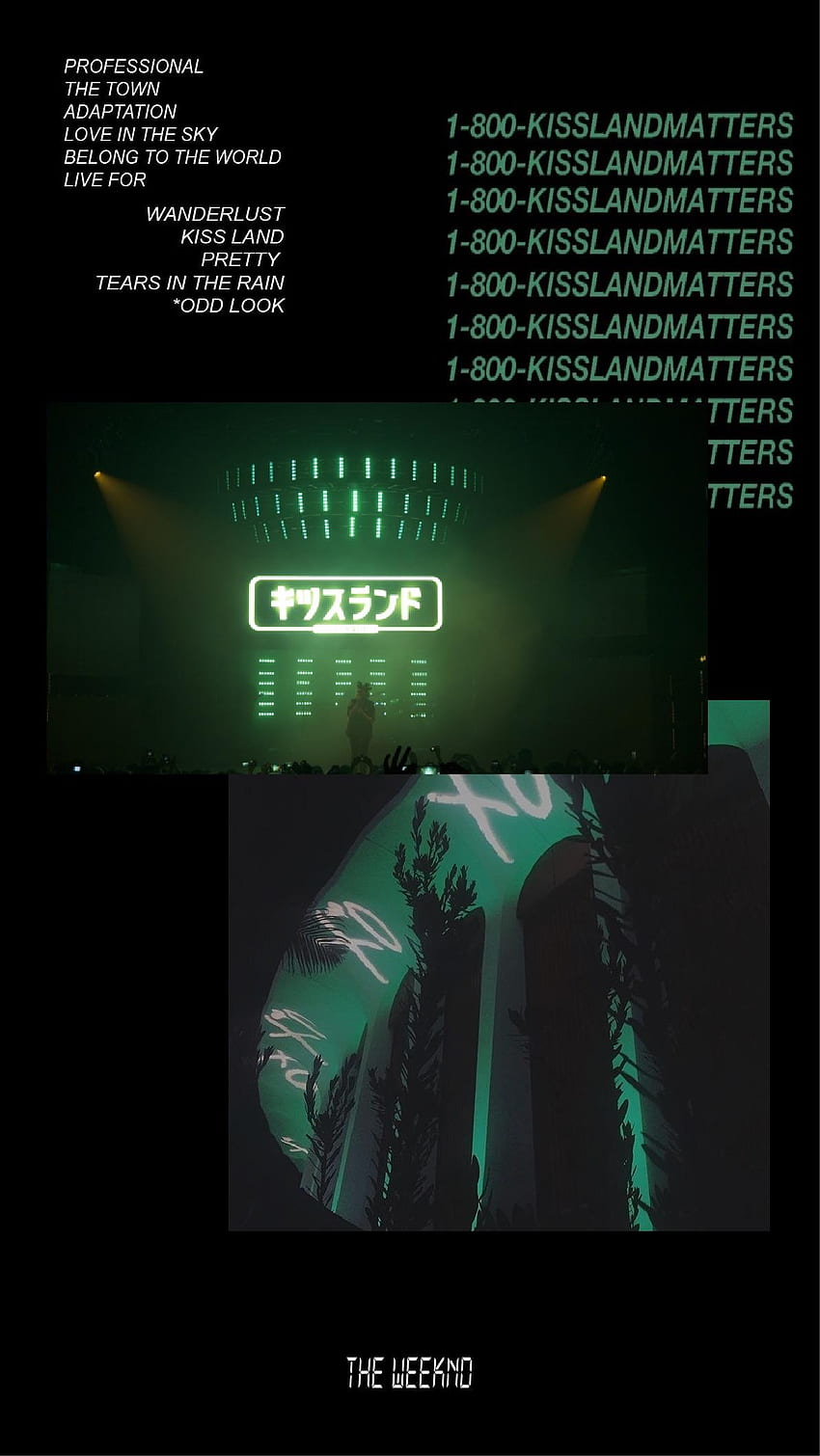 The Weeknd  Kiss Land  fakealbumcovers HD phone wallpaper  Pxfuel