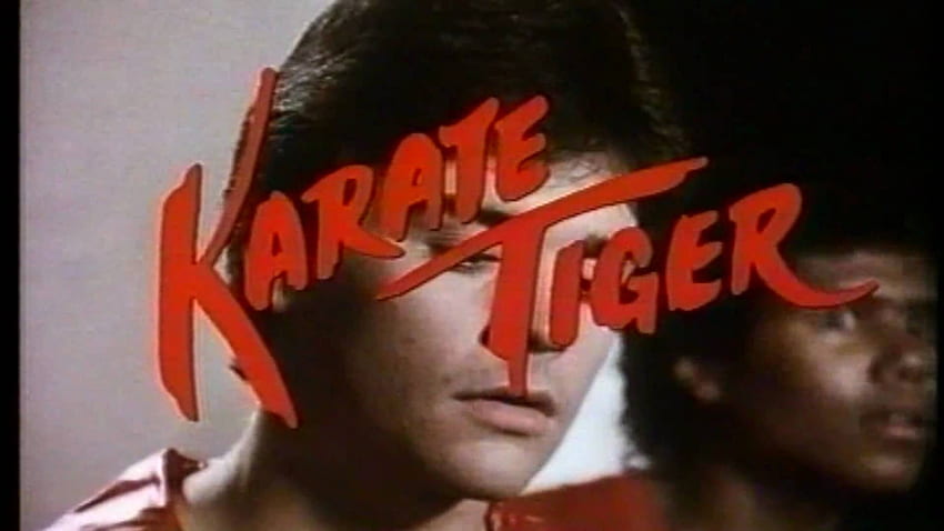 1986] Karate Tiger 1: Der letzt Kampf - [Deutsch / German, Shotokan Tiger HD wallpaper