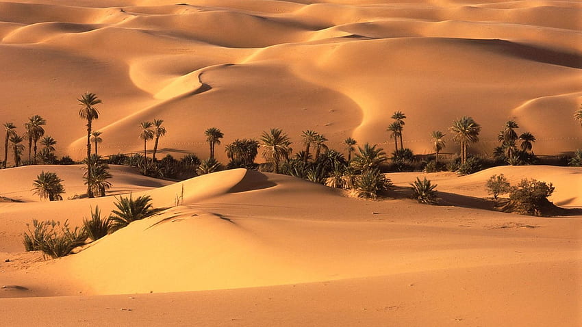 Desierto, Desierto Arabia Saudita fondo de pantalla