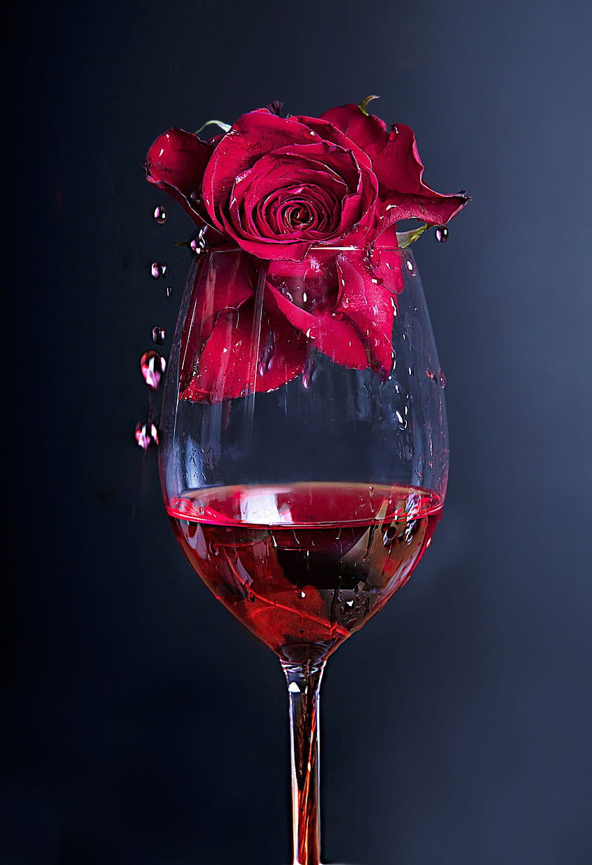 Kırmızı şarapta gül. Şarap , Kırmızı güller , Rose , Kırmızı ve Beyaz Şarap HD telefon duvar kağıdı