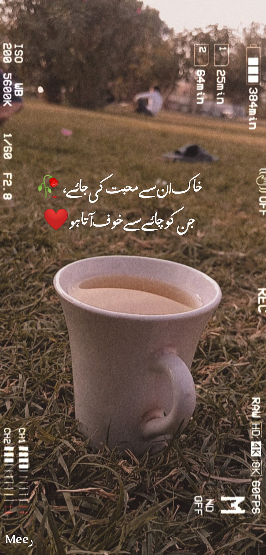 Chai Urdu poetry Park, Aesthetic, Sad, Urdu poetry HD phone ...