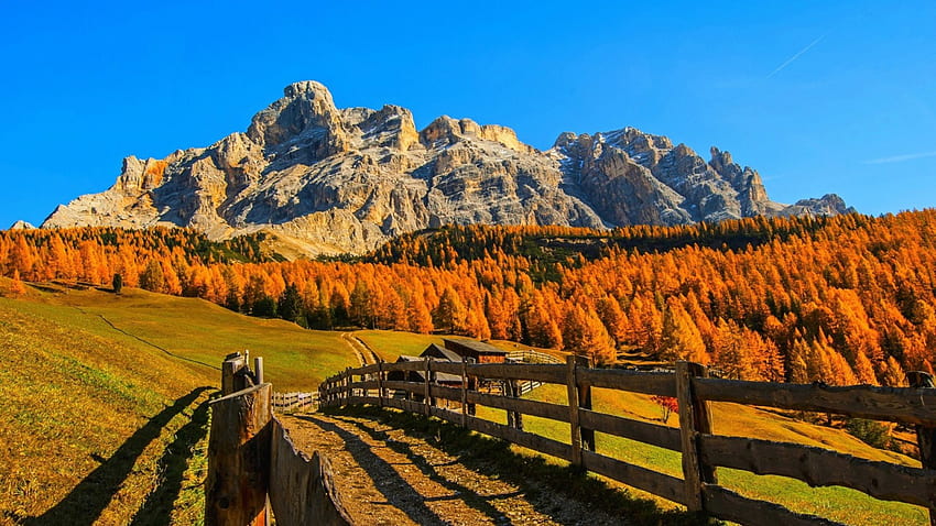 秋、秋、フェンス、農場、牧草地、森、山の山の牧草地の農場 高画質の壁紙