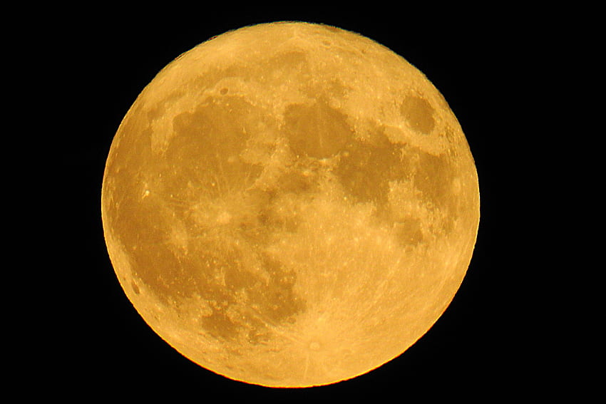 full moon, Yellow Moon HD wallpaper