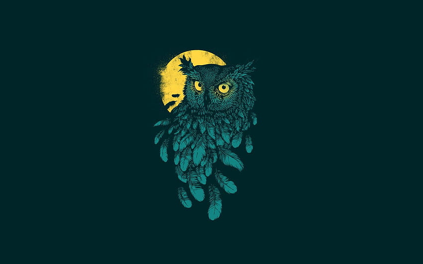 Night Owl Minimal - :, Midnight Owl Tapeta HD
