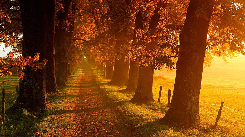 Fantastic Autumn Landscape, 2560 X 1440 Autumn HD wallpaper