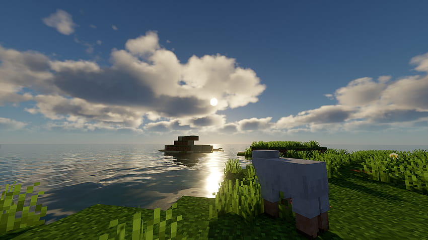 Sheep and Background, Minecraft Plains HD wallpaper