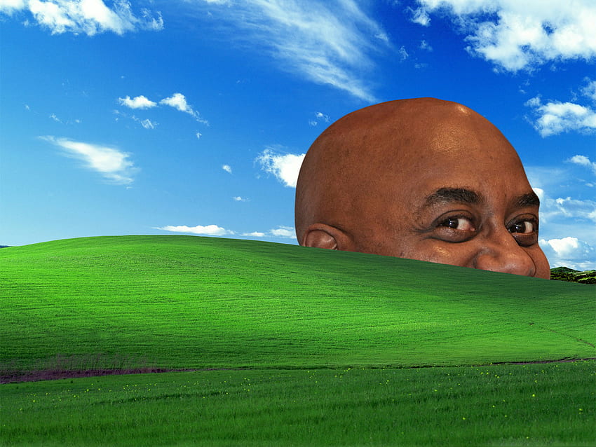 Ainsley Beatitudine. Windows XP Bliss, Windows XP Grass Sfondo HD