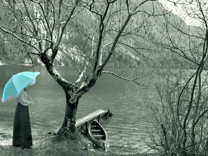 До ръба на водата, дама, кану, черно и бяло, дървета, син чадър, езеро HD тапет
