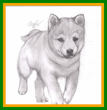 Unbelievable More Like Puppy Pencil Drawing By Tsukipan Animal ...