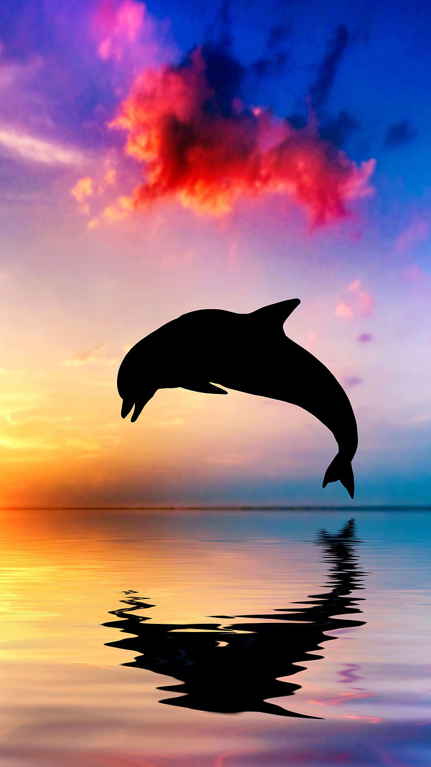 Delphin springt aus dem Wasser bei Sonnenuntergang Sony HD-Handy-Hintergrundbild