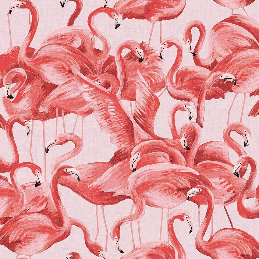 Temppaper Cheeky Pink Flamingo. ดีไซเนอร์ลอกและติดออกได้, ฟลามิงโกสีน้ำ วอลล์เปเปอร์โทรศัพท์ HD