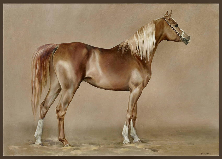 Chestnut Arabian Mare - Pferd FC, Tier, Kunstwerk, Pferd, Breit, Malerei, Kunst, Pferde, schön HD-Hintergrundbild