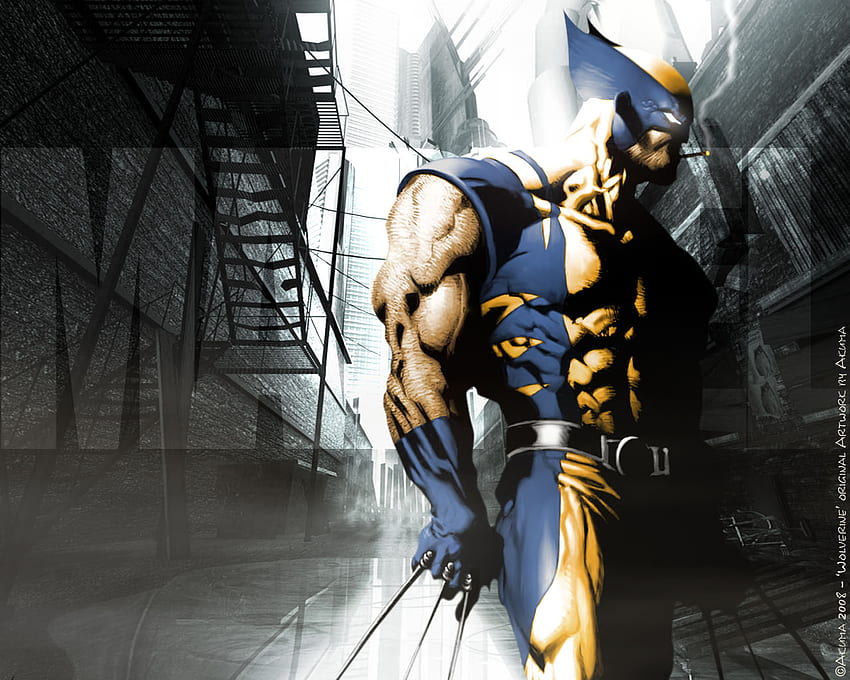 Wolverine HD wallpaper | Pxfuel