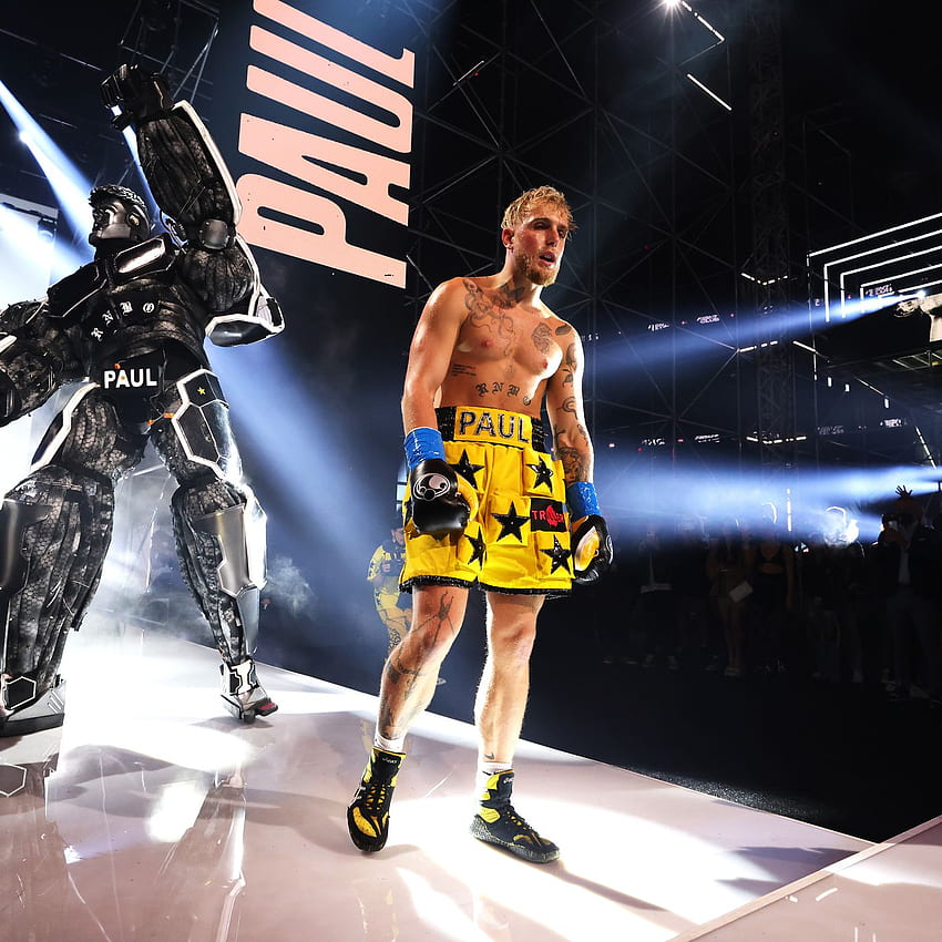 Jake Paul claims Mike Perry is 'light work, ' Perry responds to 'spoiled brat' with sparring footage, Jake Paul Boxing HD phone wallpaper