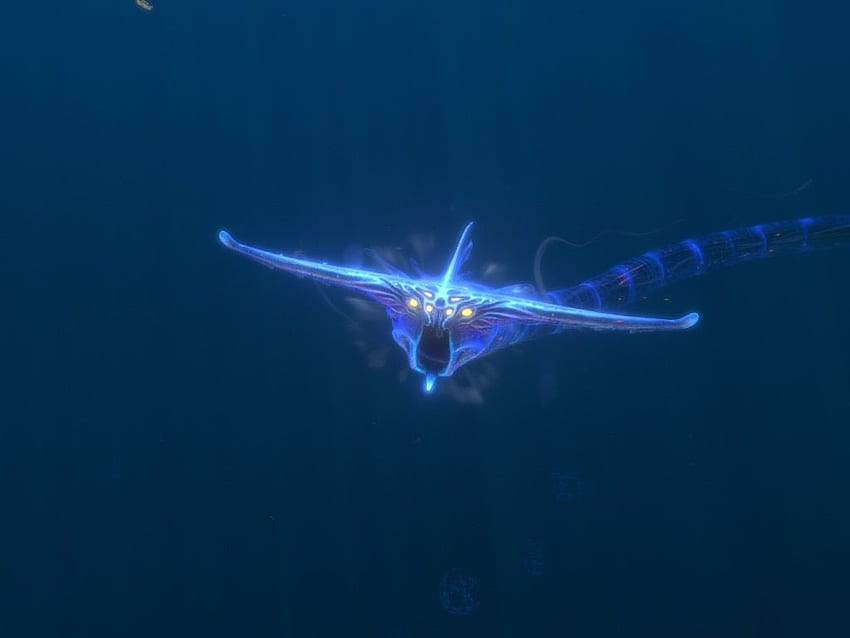 Steam Community - Screenshot - Ghost Leviathan! HD wallpaper