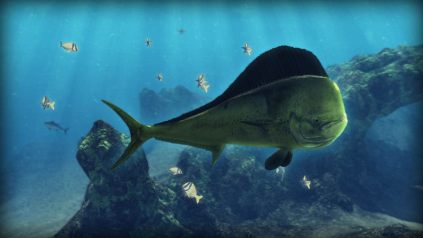 de Depth Hunter 2: buceo profundo, caza y pesca fondo de pantalla
