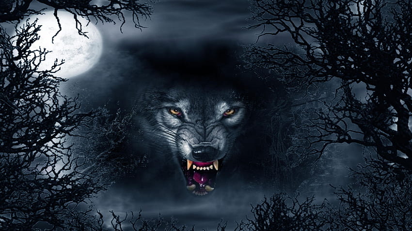 Loup noir aux yeux bleus, yeux de loup maléfiques Fond d'écran HD