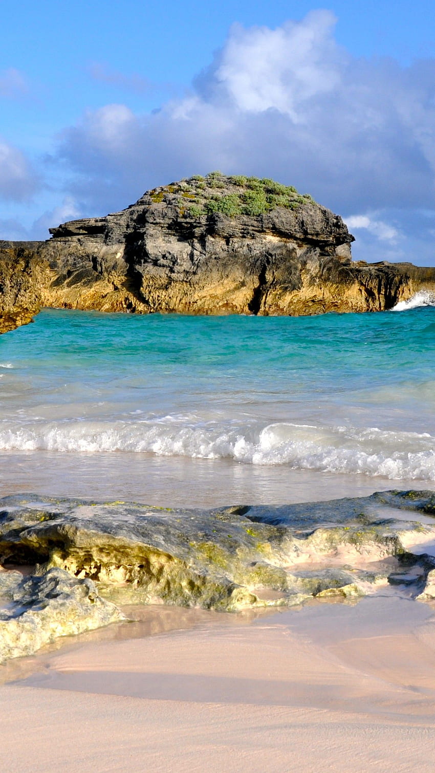 Horseshoe Bay Beach, Bermuda, Pantai terbaik 2016 wallpaper ponsel HD