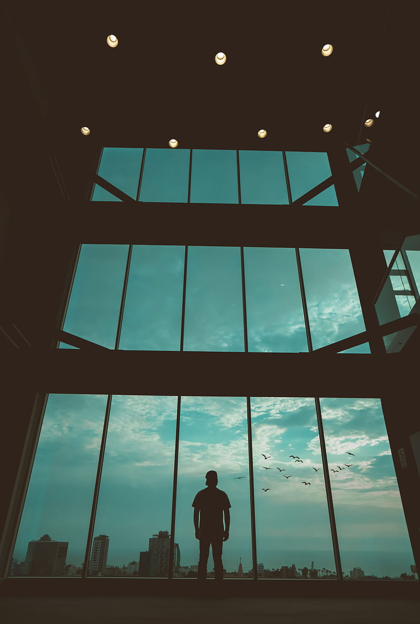 Vögel, Dunkel, Silhouette, Fenster, Mensch, Person HD-Handy-Hintergrundbild