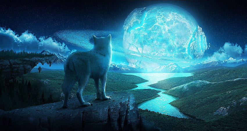 Wolf Moon, Blue Moon and Wolf HD wallpaper