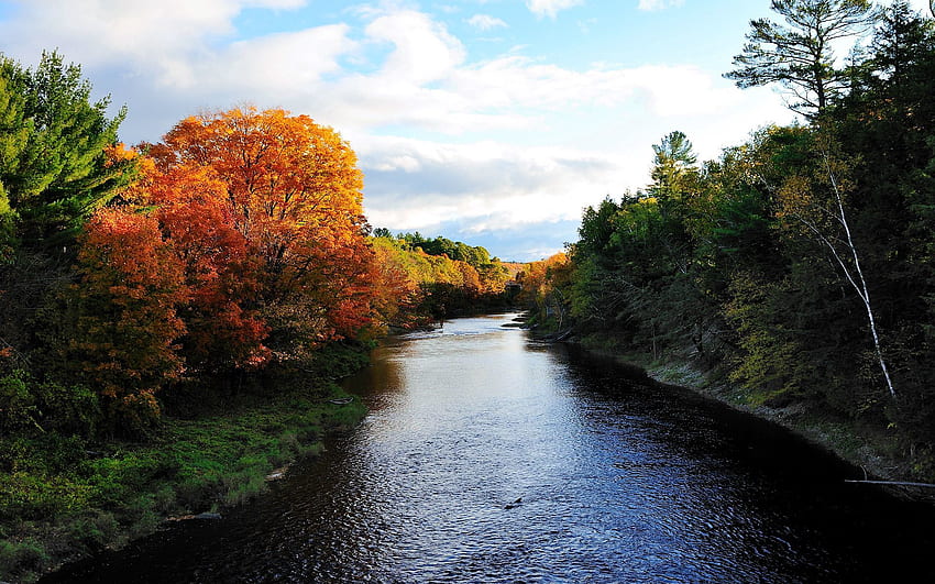 Nature, Rivers, Trees, Autumn HD wallpaper